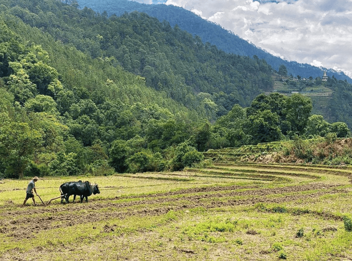 螢幕截圖 2023-12-28 下午4.05.37.png