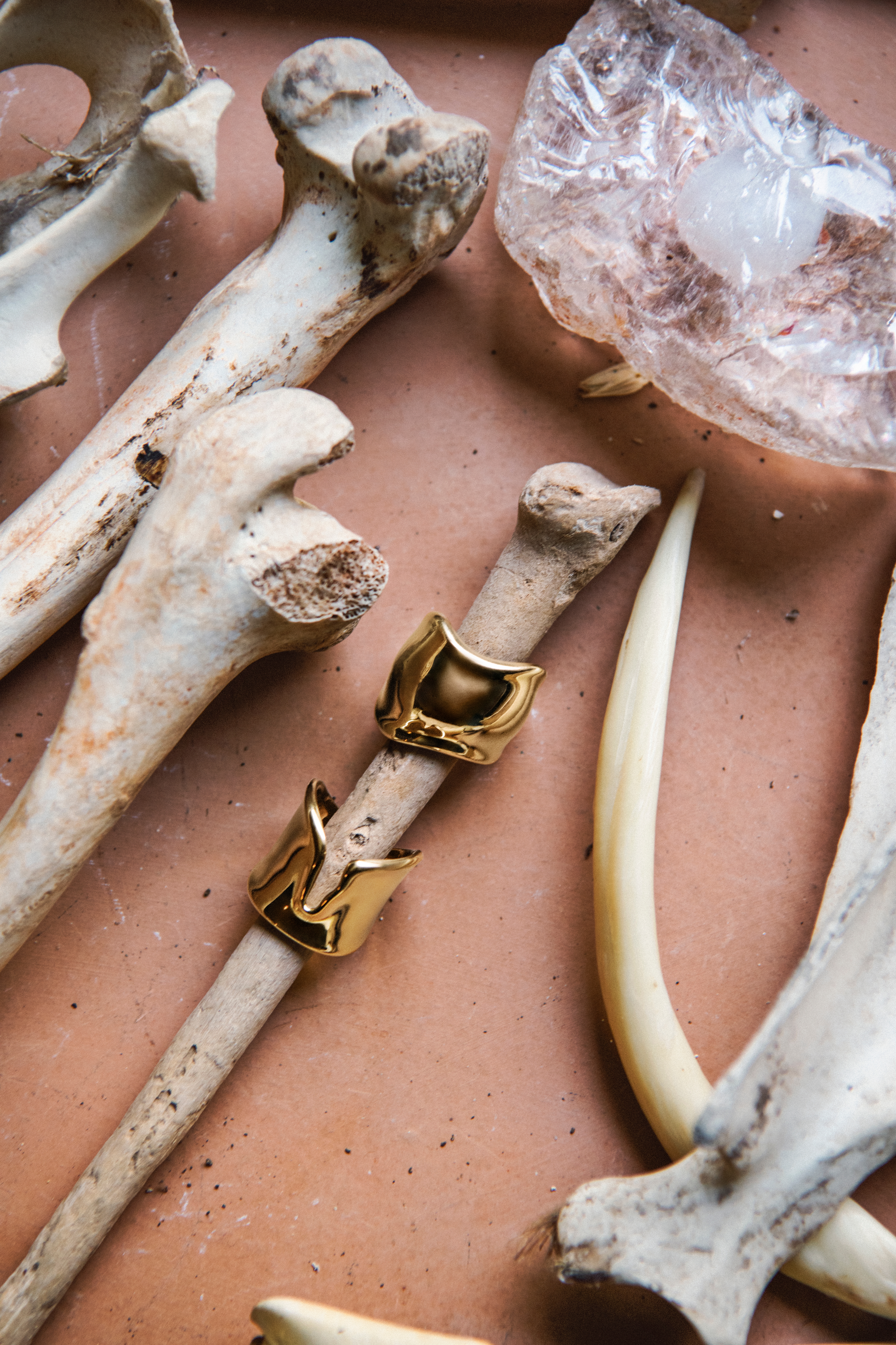 Elsa Peretti™ Bone and Split Ring in Yellow Gold.jpg