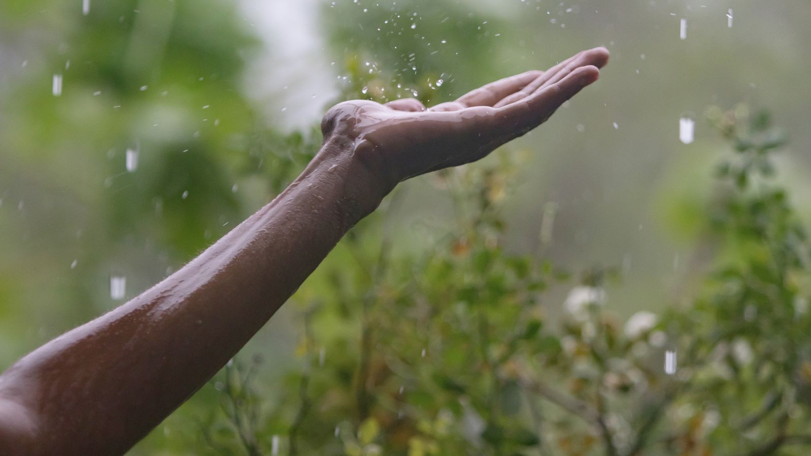 (Polly) jessica new website (53).jpg