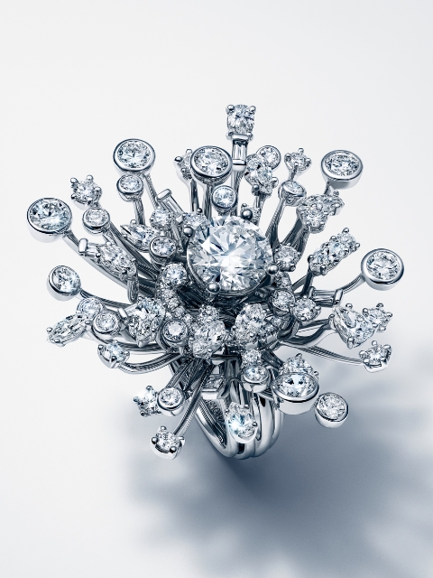 Untitled design (29).png