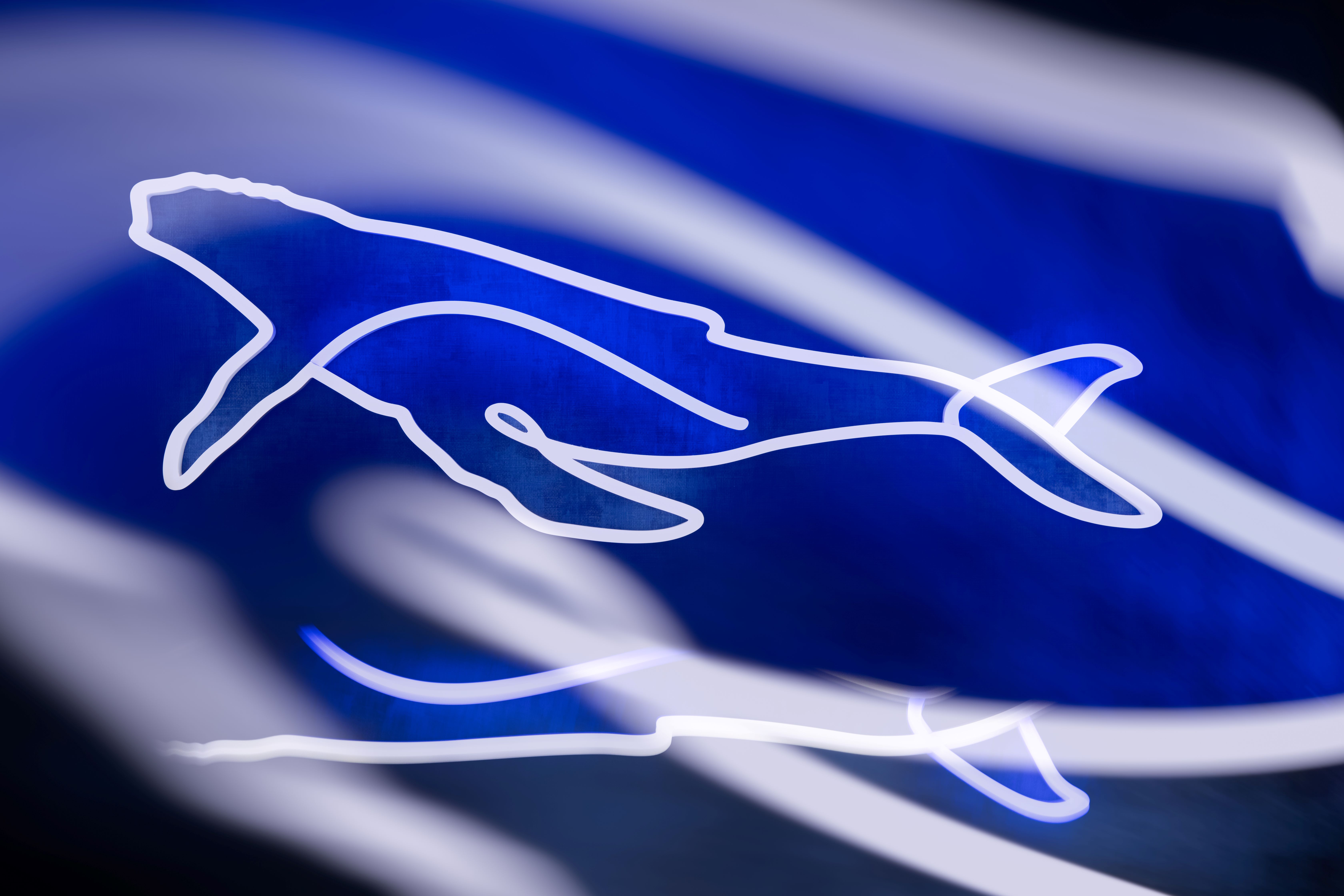 Whale Club Neon Light.jpg