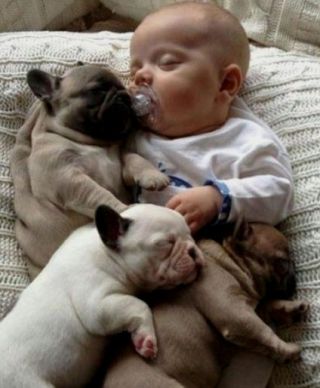 養寵物可以改善抑鬱病？6個養寵物的好處！