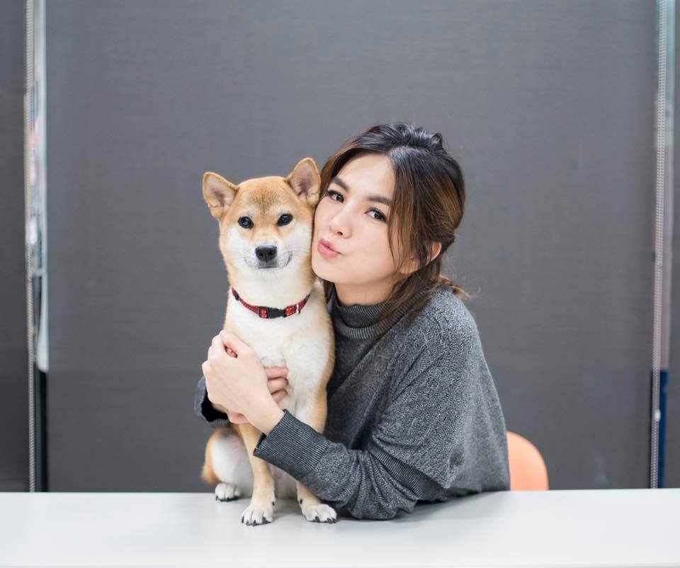 我的主人是明星！可愛明星寵物特集