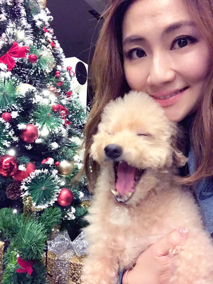 我的主人是明星！可愛明星寵物特集