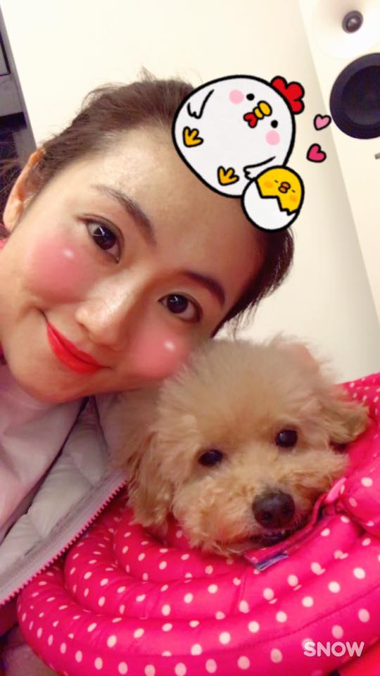 我的主人是明星！可愛明星寵物特集