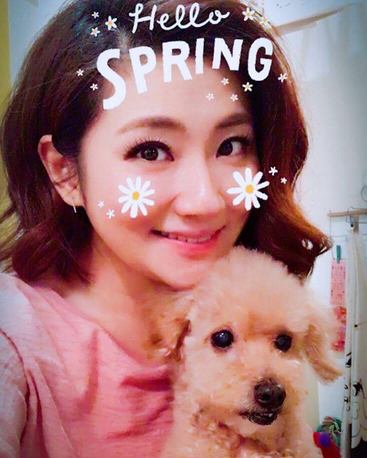 我的主人是明星！可愛明星寵物特集