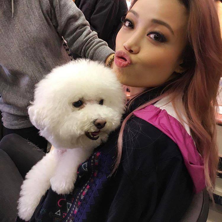 我的主人是明星！可愛明星寵物特集