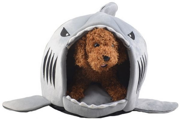 想狗狗睡得好?你要做好這5大要點 想狗狗睡得好?你要做好這5大要點