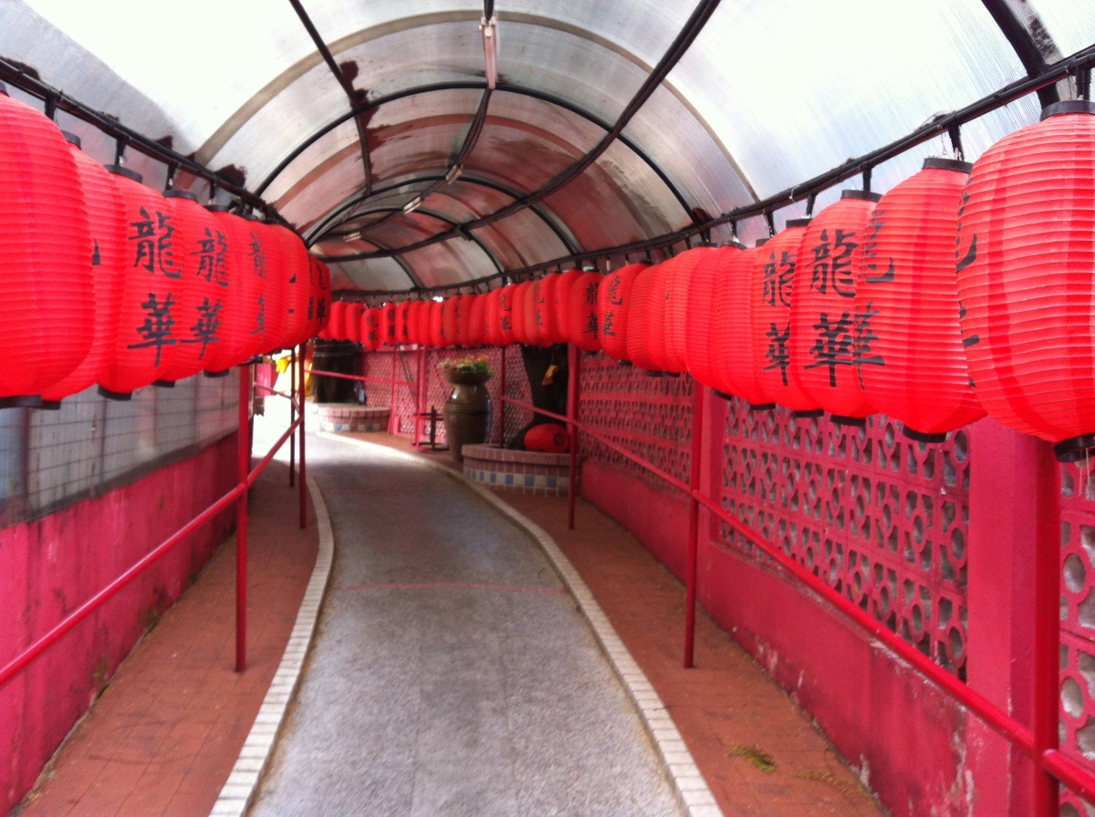 香港集體回憶！我和龍華有個約會
