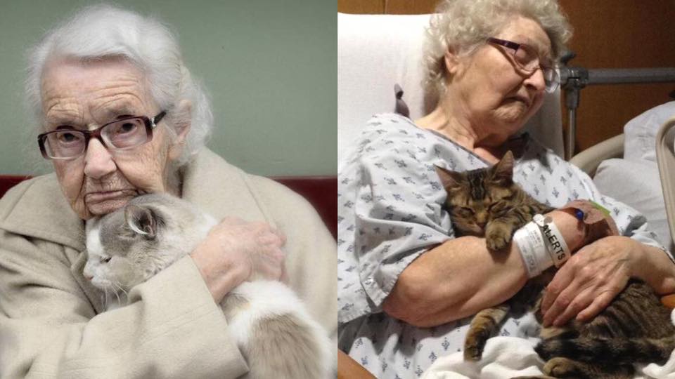 養寵物可以改善抑鬱病？6個養寵物的好處！