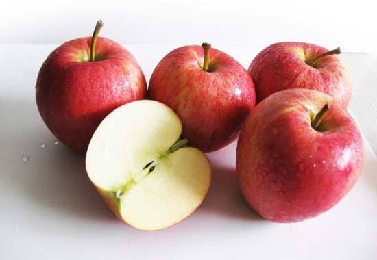 想解決狗狗淚痕問題？原來食紫薯可以幫到手