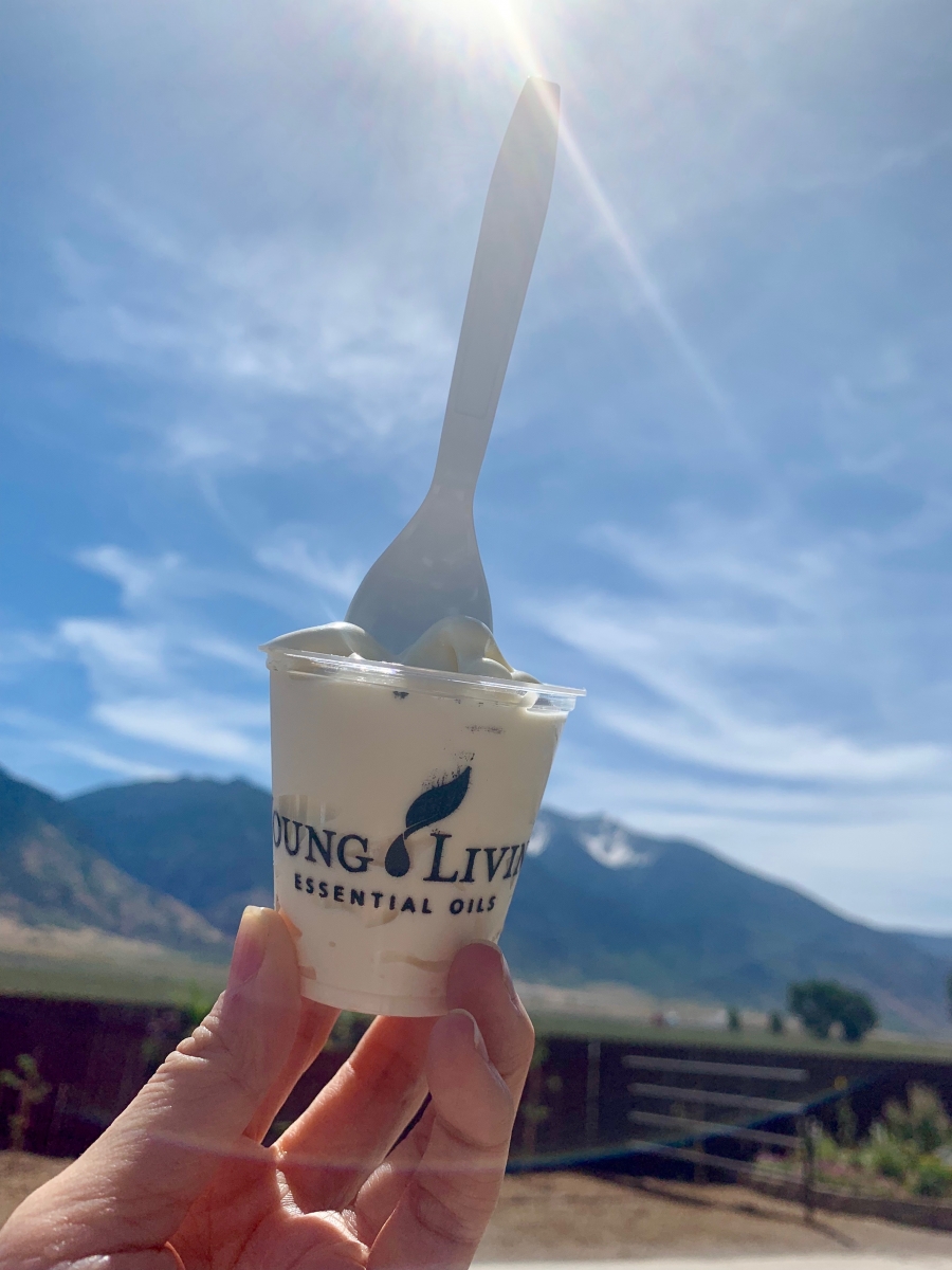 精油之旅 Aroma Journey