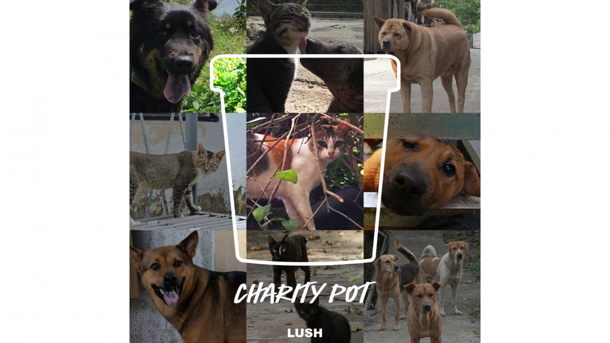 慈善美肌！Lush 愛心潤膚乳登場為貓貓狗狗送暖！