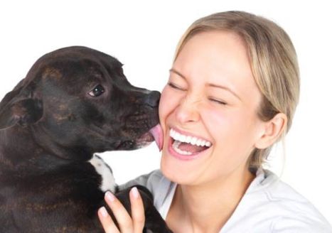 養寵物可以改善抑鬱病？6個養寵物的好處！