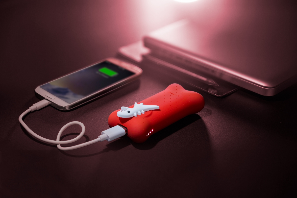 恐龍出沒注意！SPORT B. 可愛生活商品開售