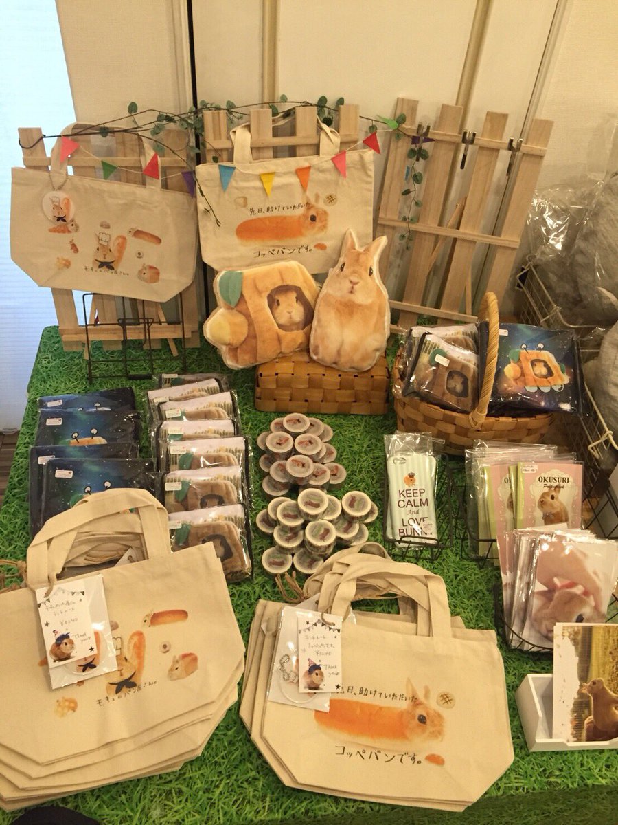 超治癒！把人融化的東京人氣兔子寫真展