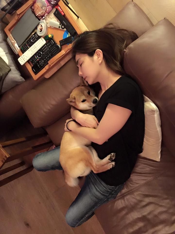 我的主人是明星！可愛明星寵物特集