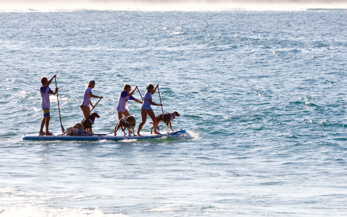 時常帶著狗狗Honey出現在海邊,甚至一起出海。