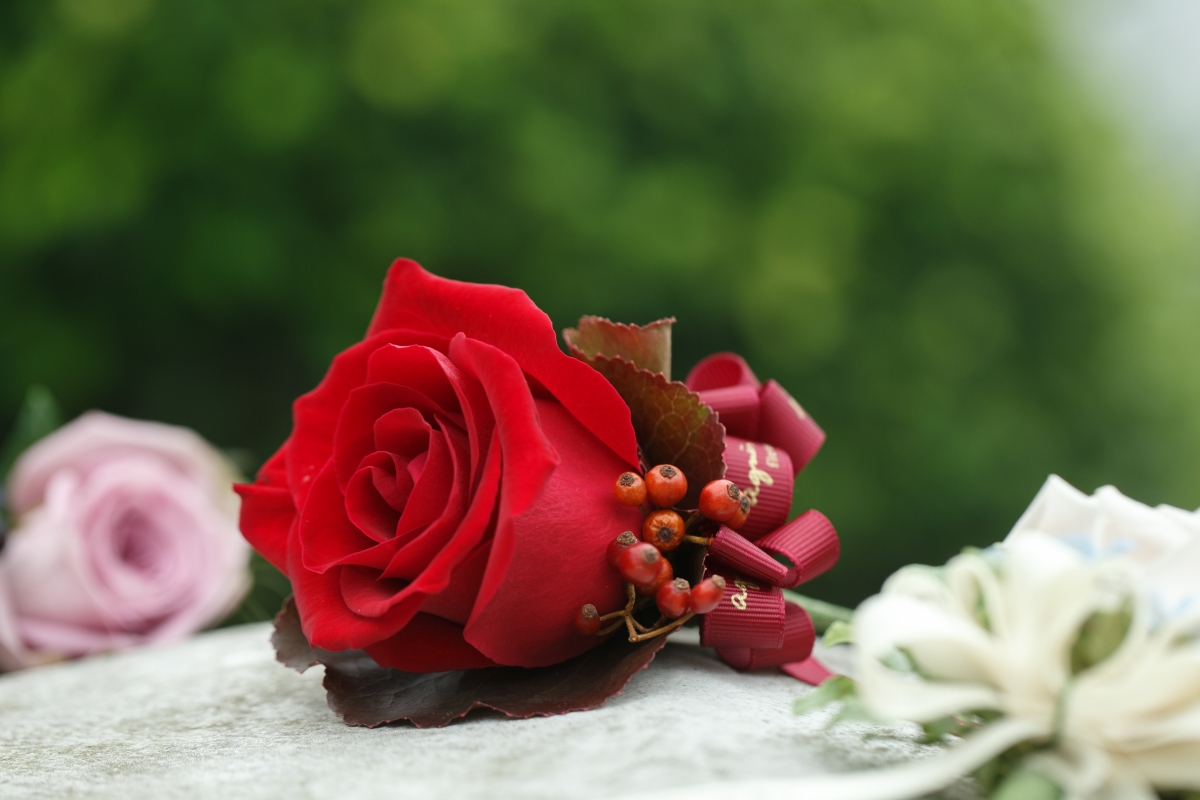 rose_$100