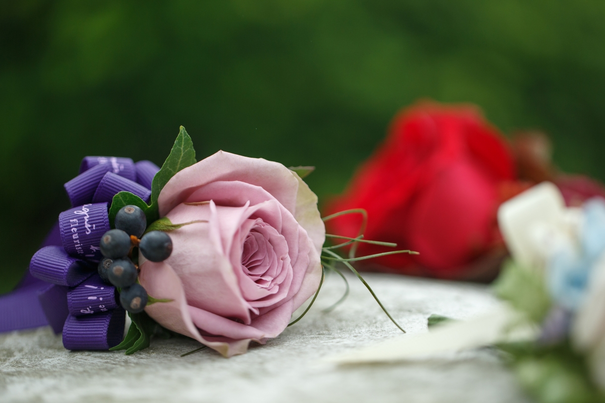 rose_$100