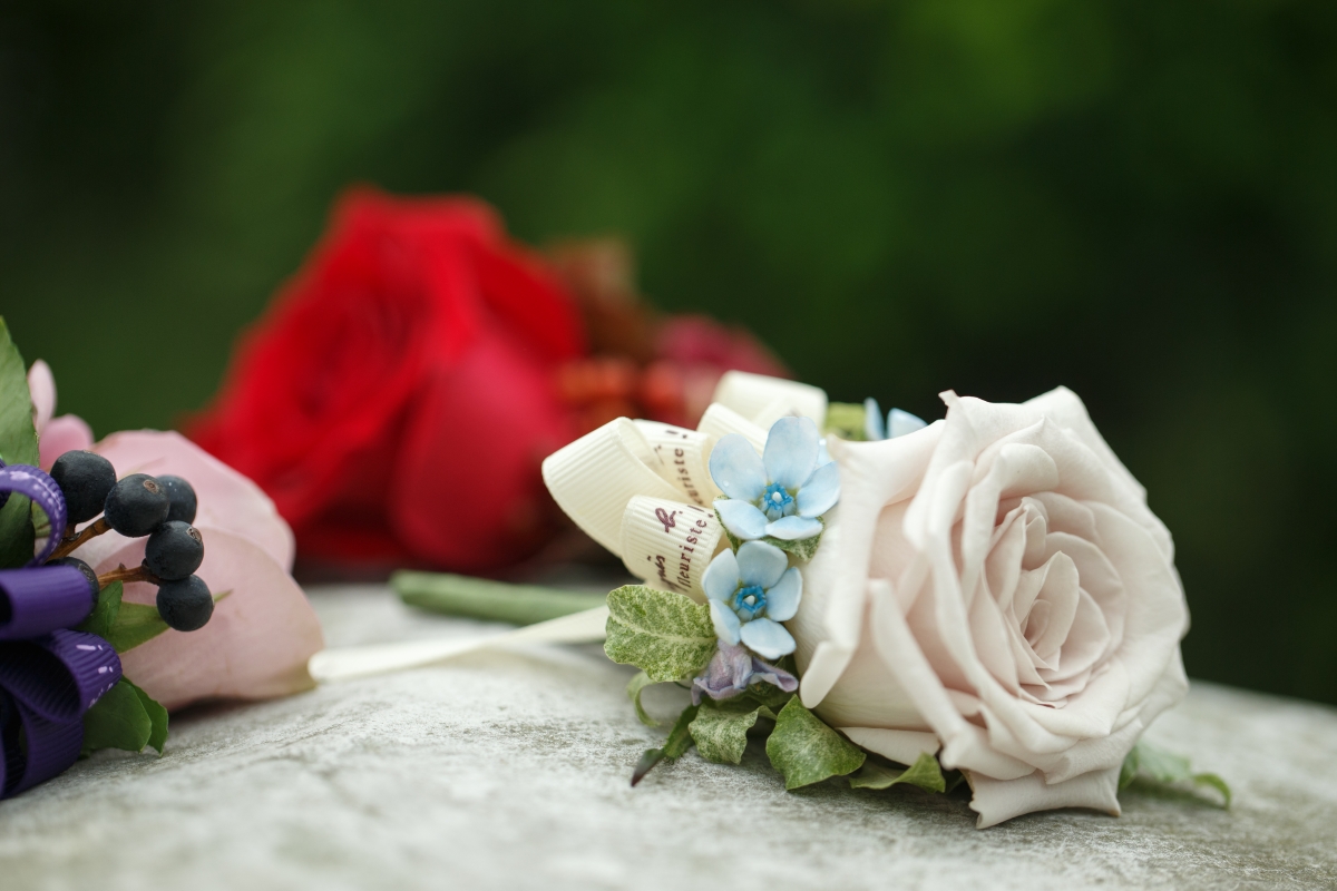 rose_$100