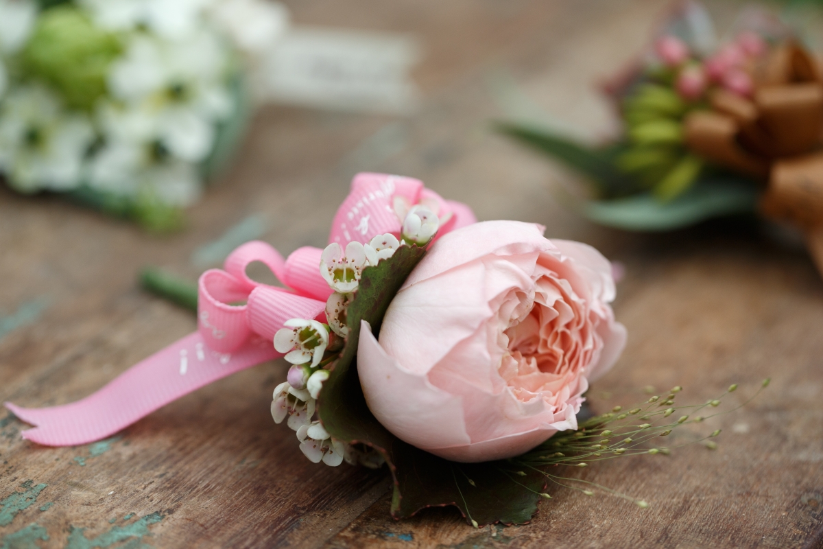 garden rose_$100