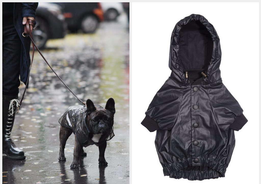 雨褸啱晒落雨都要去街的狗狗(179Euro)。