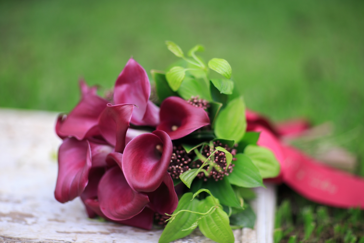 calla lily_$1500