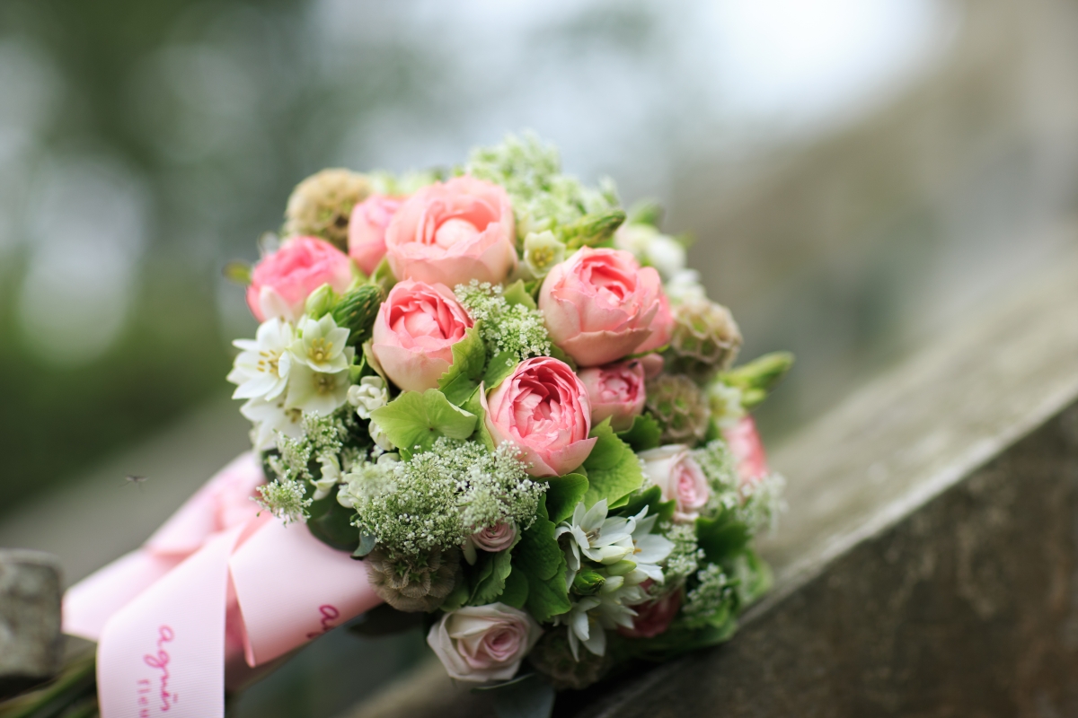 rose and mini rose_$1500