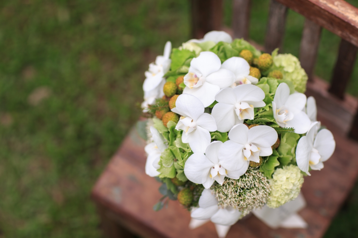orchid and green ball_$1600