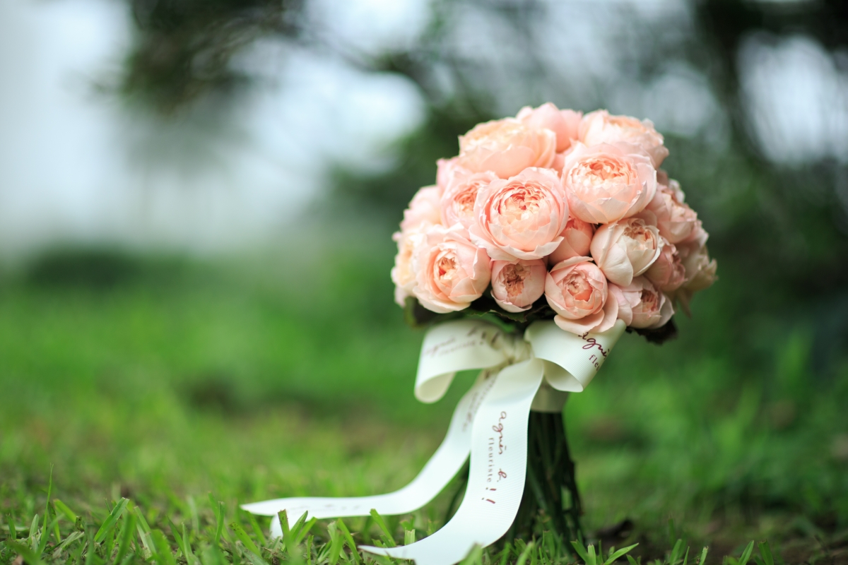 garden rose_$1350