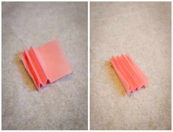 Step 2: 將紙巾摺成風琴狀。