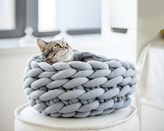 貓咪都怕凍!貓奴必睇5個喵星人保暖tips 貓咪都怕凍!貓奴必睇5個喵星人保暖tips