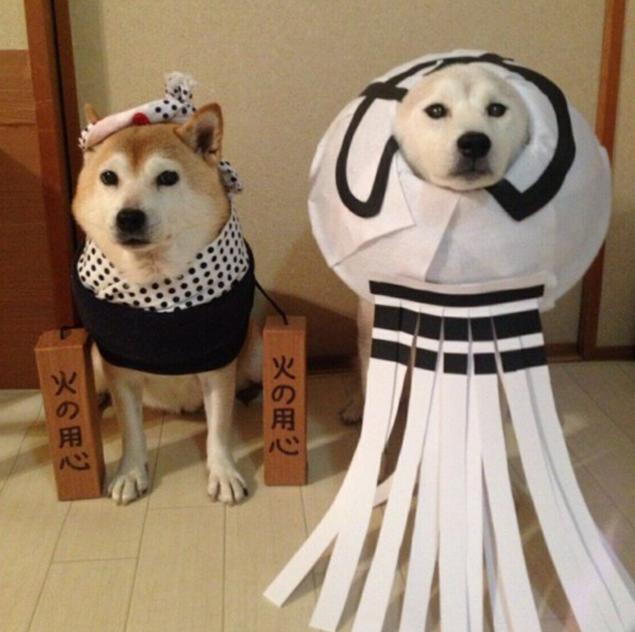 超萌狗狗衫！日系狗狗時裝網店大搜查