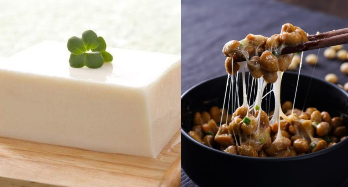 高收視日劇《默默奉獻的灰姑娘》石原聰美「徒弟」西野七瀨公開瘦身美顏技保持「灰姑娘體重」！