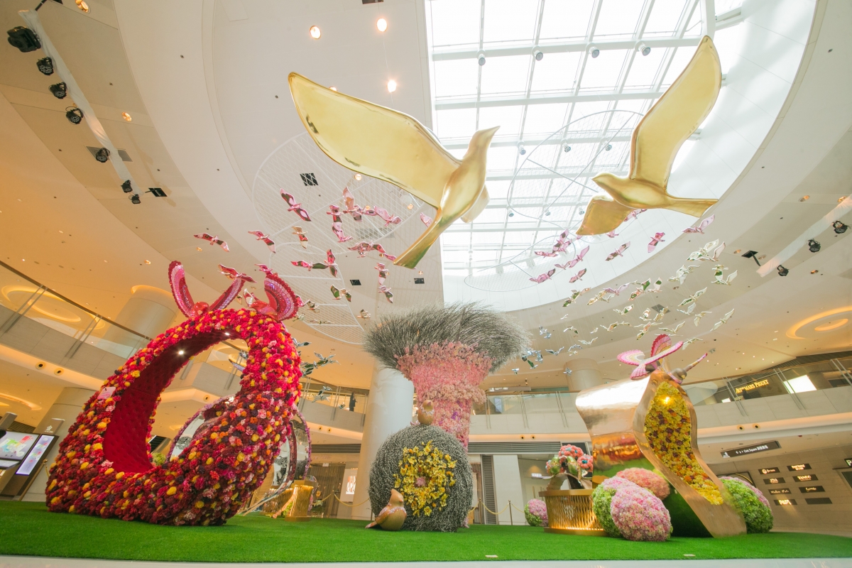 太古廣場和圓方展現禽鳥美態 影相位不絕 太古廣場和圓方展現禽鳥美態 影相位不絕