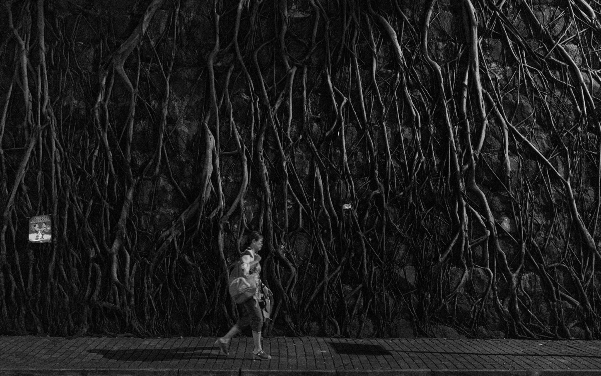 西環隱世靚境！5大必去呃like勝地