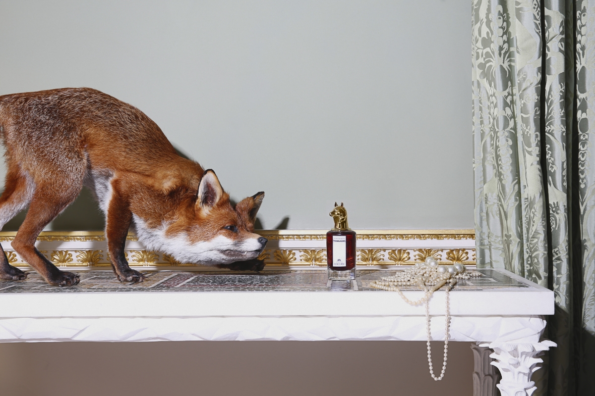 美學的氣味！英國貴族動物香水登場
