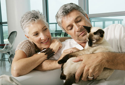 養寵物可以改善抑鬱病？6個養寵物的好處！