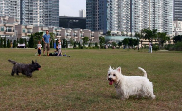 放假好去處！6個讓你遠離繁囂生活的野餐好地方