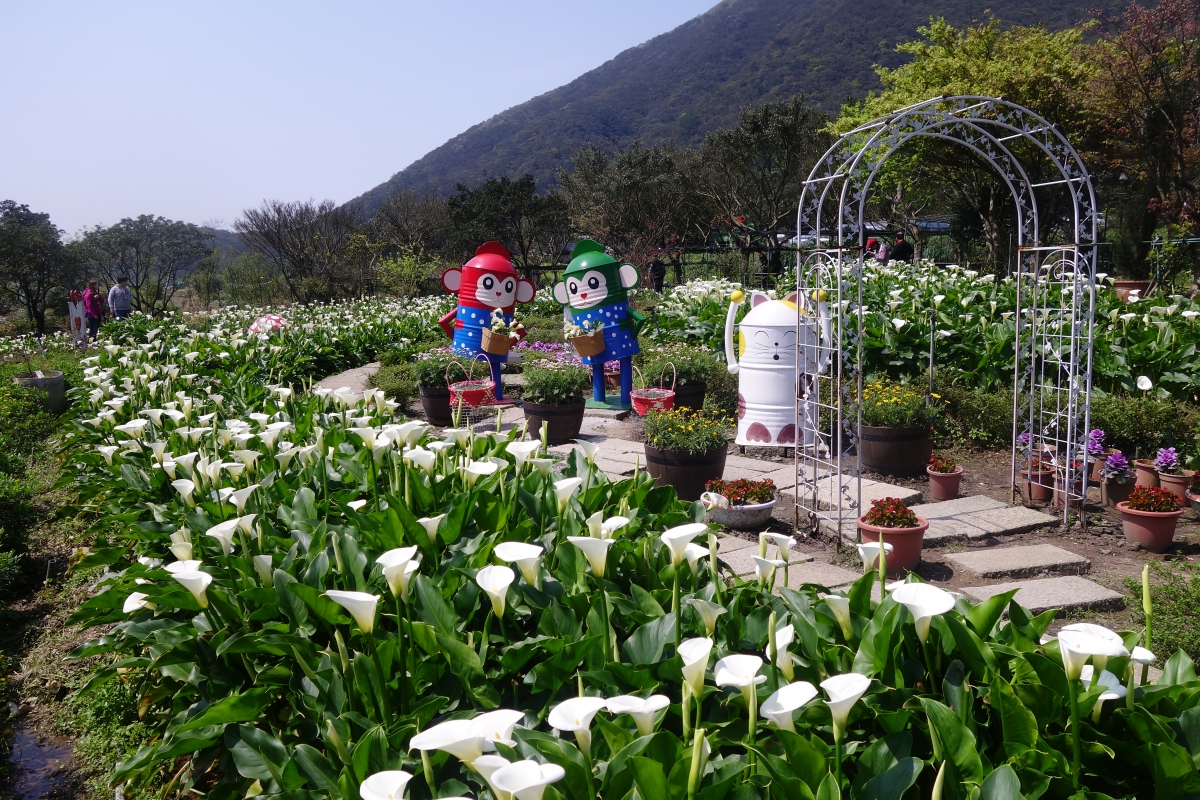 Let’s Hanami!2017春賞花大作戰！（二）：台北篇