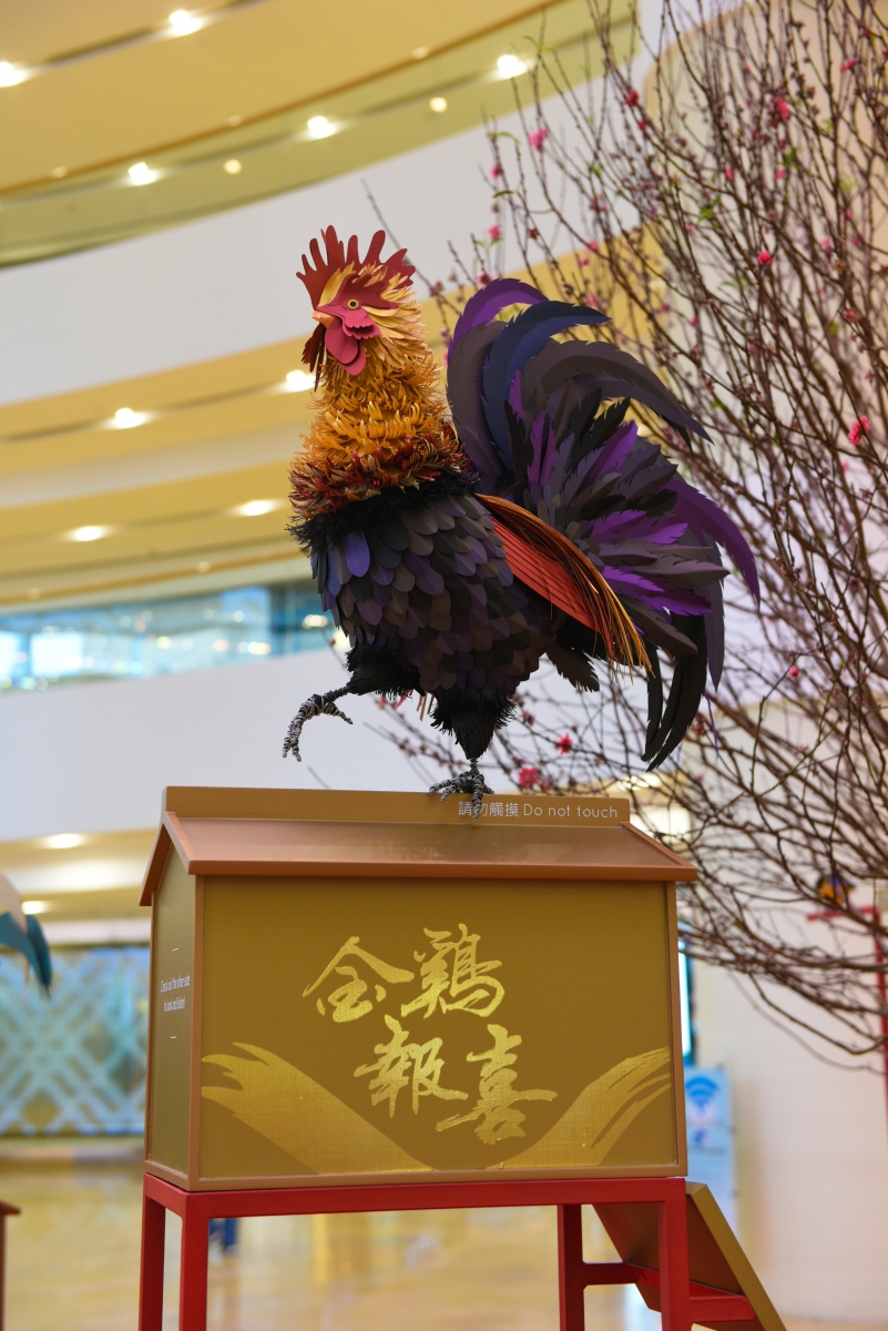 太古廣場和圓方展現禽鳥美態 影相位不絕