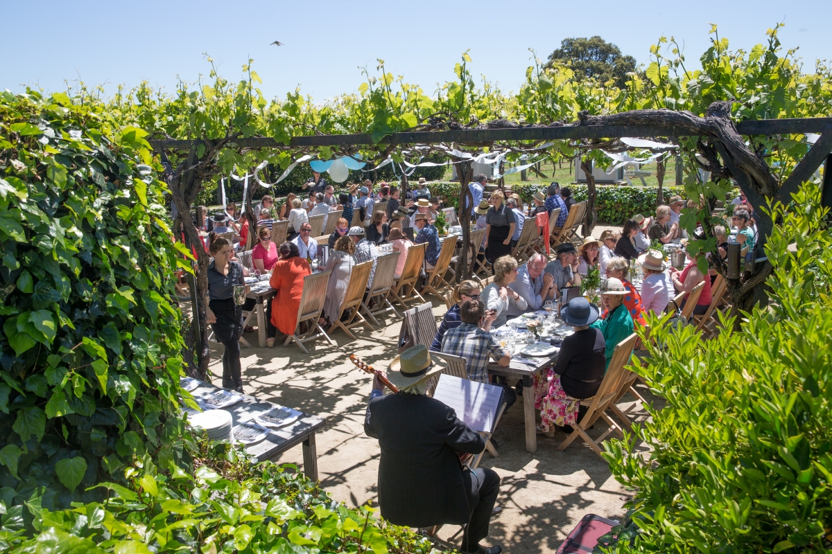 飛轉新西蘭！盡享夏日美食節美酒佳餚